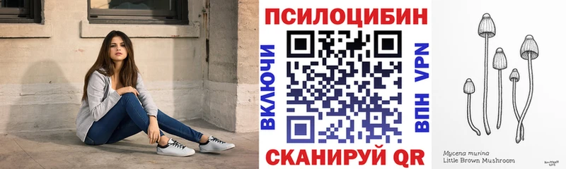 Галлюциногенные грибы ЛСД  маркетплейс как зайти  Гороховец  закладка 